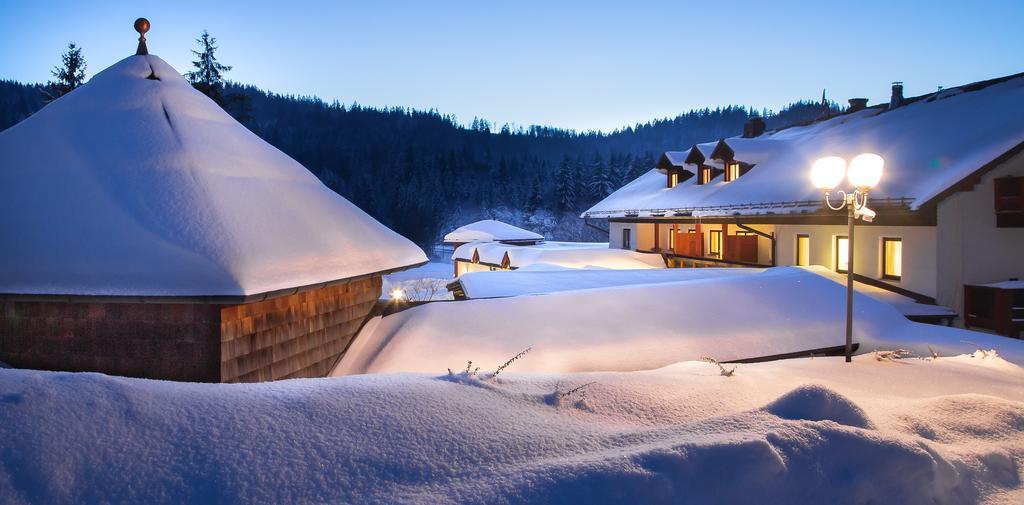 Wellness- Und Vitalhotel Boehmhof Bodenmais Dış mekan fotoğraf